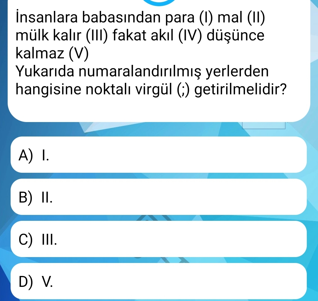 Soru Görseli